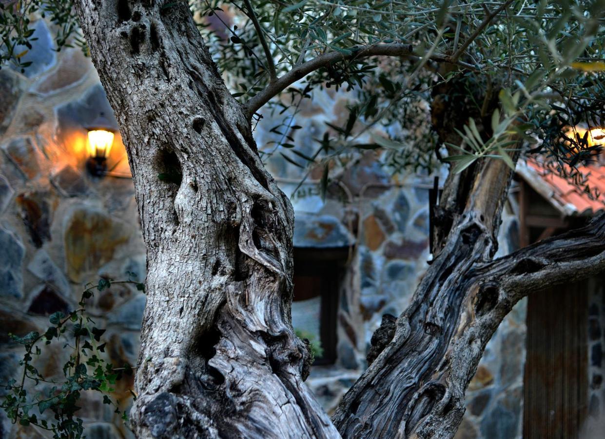 La Casita De Leire Guest House Tamajon Exterior photo
