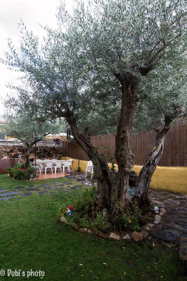 La Casita De Leire Guest House Tamajon Exterior photo
