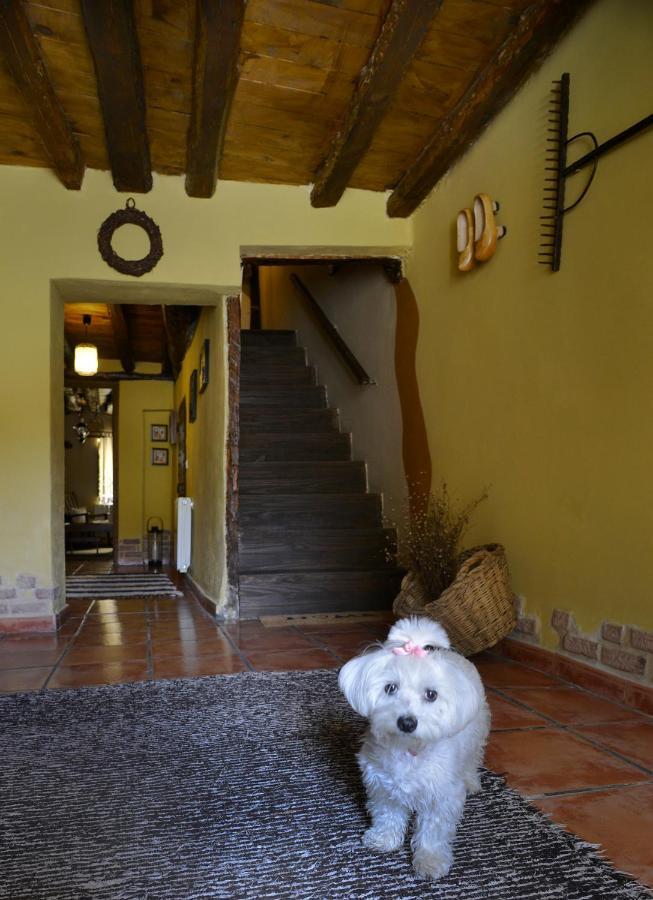 La Casita De Leire Guest House Tamajon Exterior photo